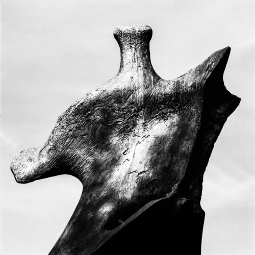 Henry Moore Sculpture Garden - Square Format Photography by Rebecca Dell Henry Moore Sculpture Garden - Square Format Photography by Rebecca Dell